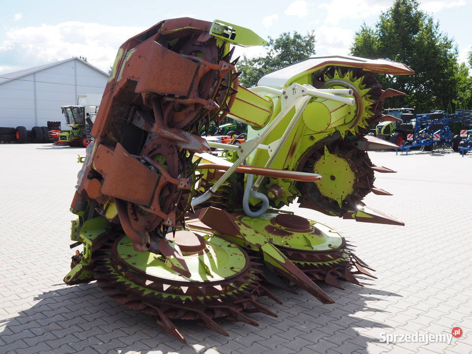 Claas Orbis 600 Przystawka do kukurydzy heder wielkopolskie Stęszew