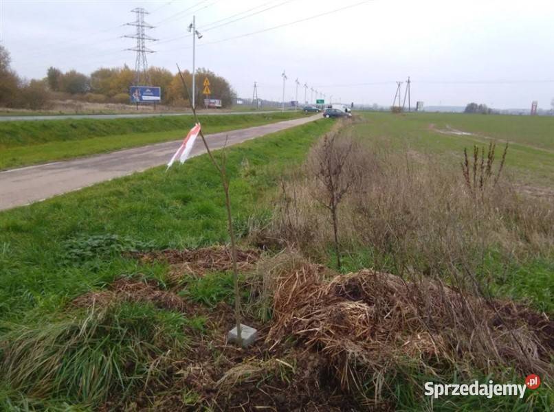 Działka pdużą reklamę BillboardNiechorze Stargard reklama