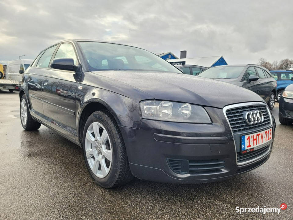 Audi A3 19TDI 105 Zarejestrowana w 8P 20032012 autoalarm Gniewkowo