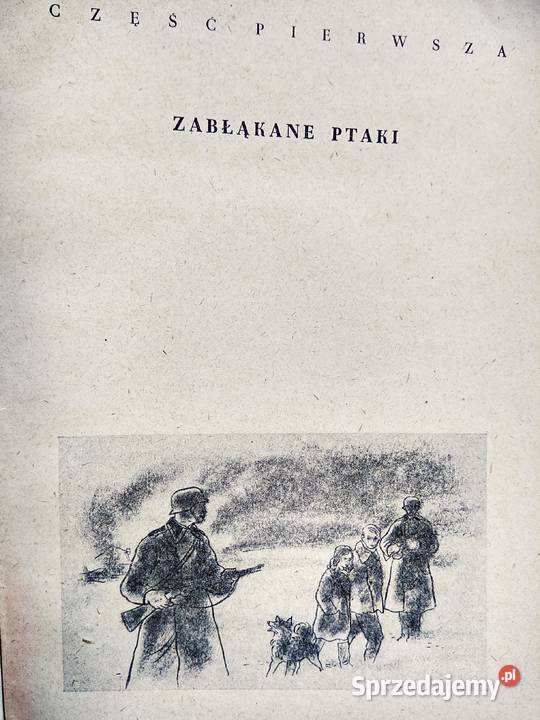 Morcinek Zabłąkane ptaki antykwariat internetowy