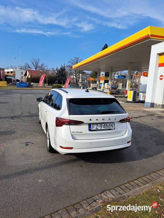 Piękna Skodzinka nowa Nowy rozrząd i oleje asystent parkowania Żary