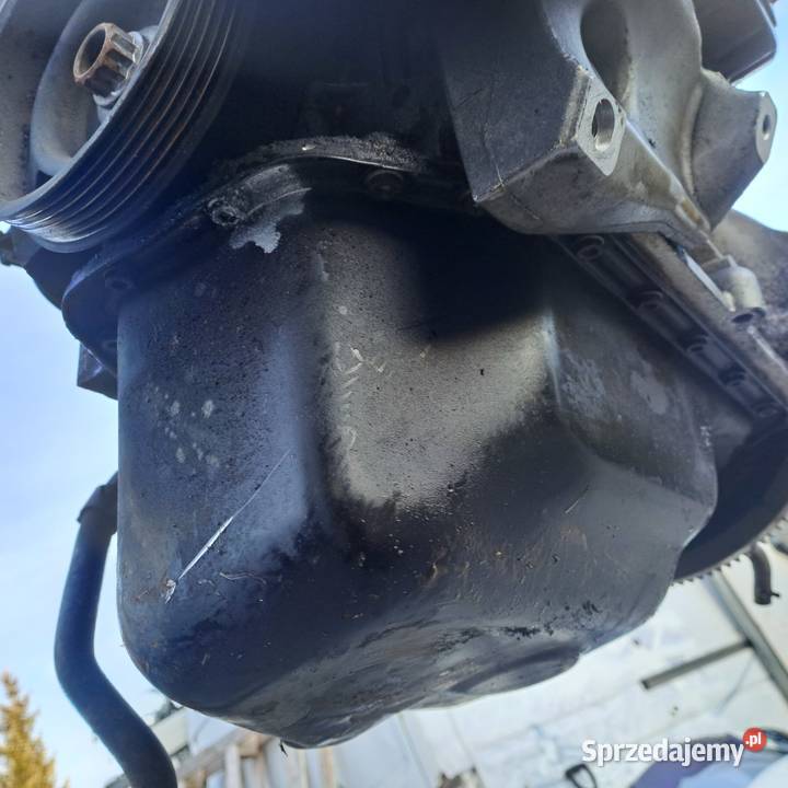 Audi Skoda Volkswagen 14 silnik kompletny kod Jastrzębie-Zdrój