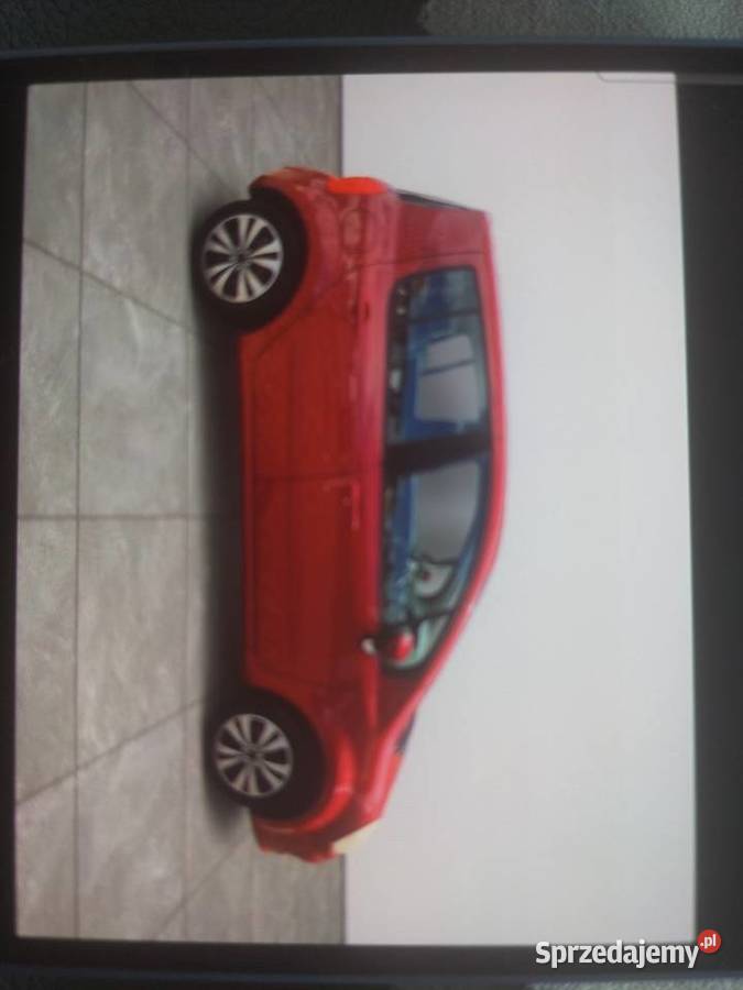 Renault Modus Końskie