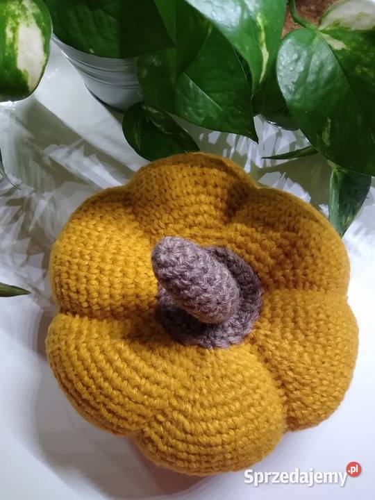 Dynia Pumpkin Rękodzieło Gdańsk