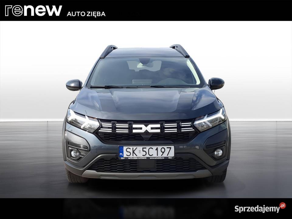 Jogger 10 TCe Extreme LPG 7os przyciemniane szyby Jogger śląskie