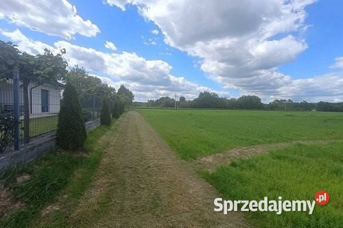 Działka rolna Cholerzyn 5400 m2
