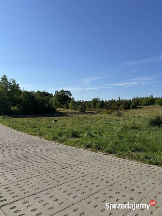 do jeziora Gowidlińskiego I Kaszuby I Las Gowidlino sprzedam