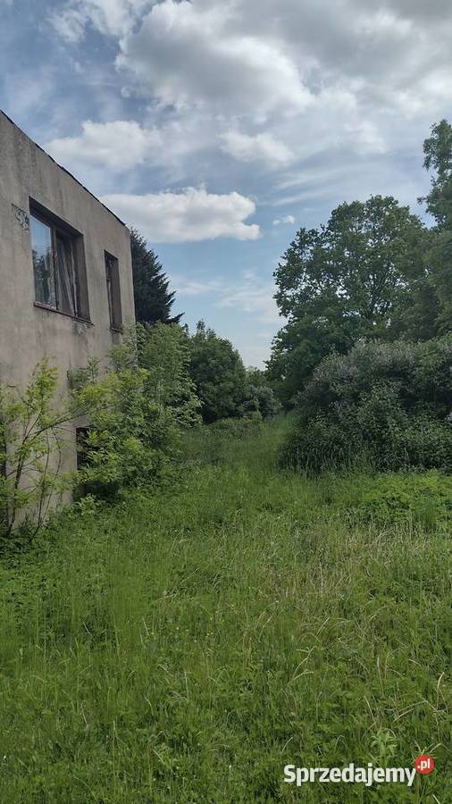 Sprzedam działkę Dłutów