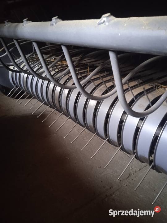 Prasa feraboli entry 120 Błaszki