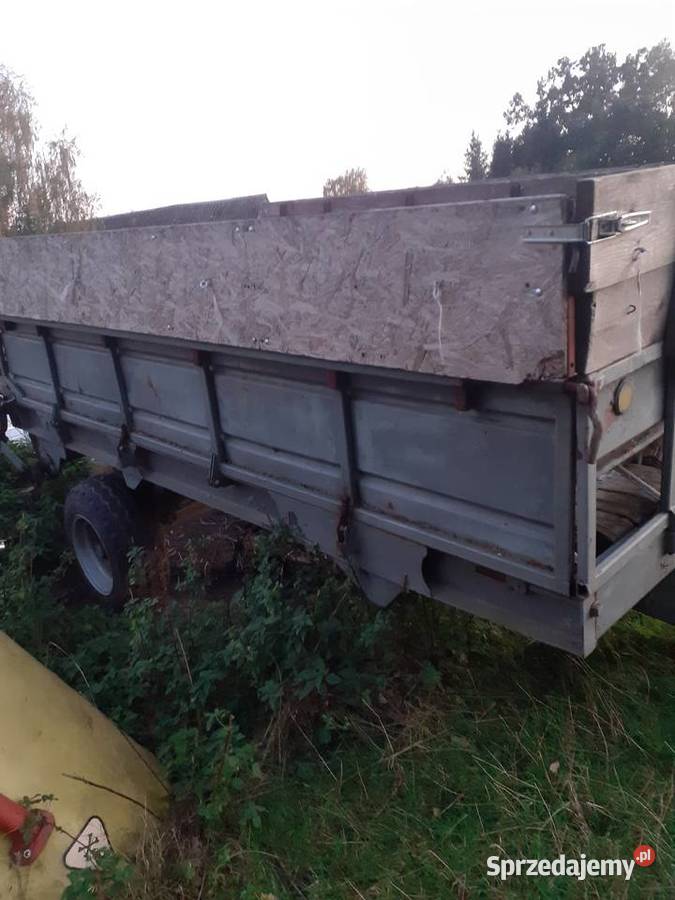 Rorzutnik obornika rosyjski Rozrzutniki obornika podlaskie