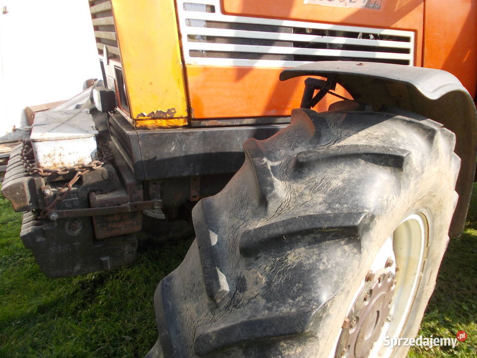 ciągnik fiat 1180 Braniewo sprzedam