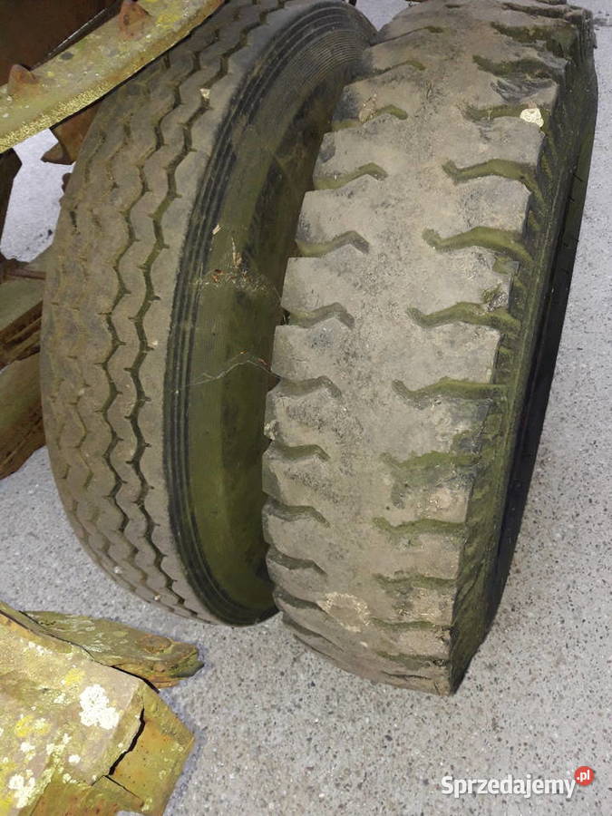 Dłużyca kłonicowa opolskie Kopalina