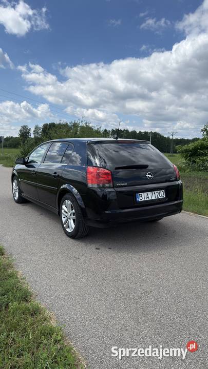 Opel Signum 19 CDTI 150 Skóra Xenon Navi PDC Rok produkcji 2008 Białystok