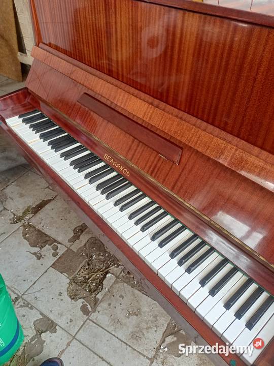 Pianino Chojewo