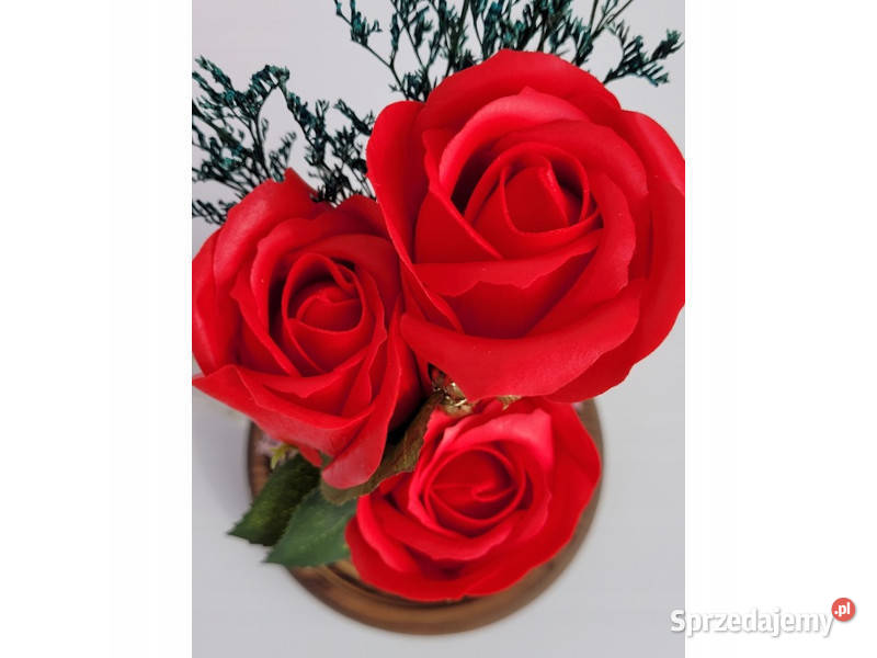 Wieczna róża w szkle pod kloszem flower kwiat Pozostałe śląskie Mikołów