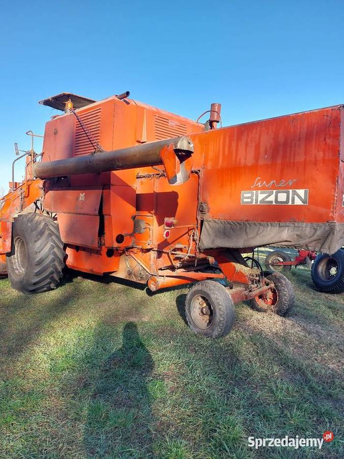 Bizon zo56 Dąbrowa Tarnowska sprzedam