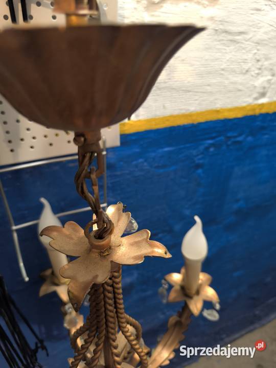 Żylador mosioc podkarpackie Dębica