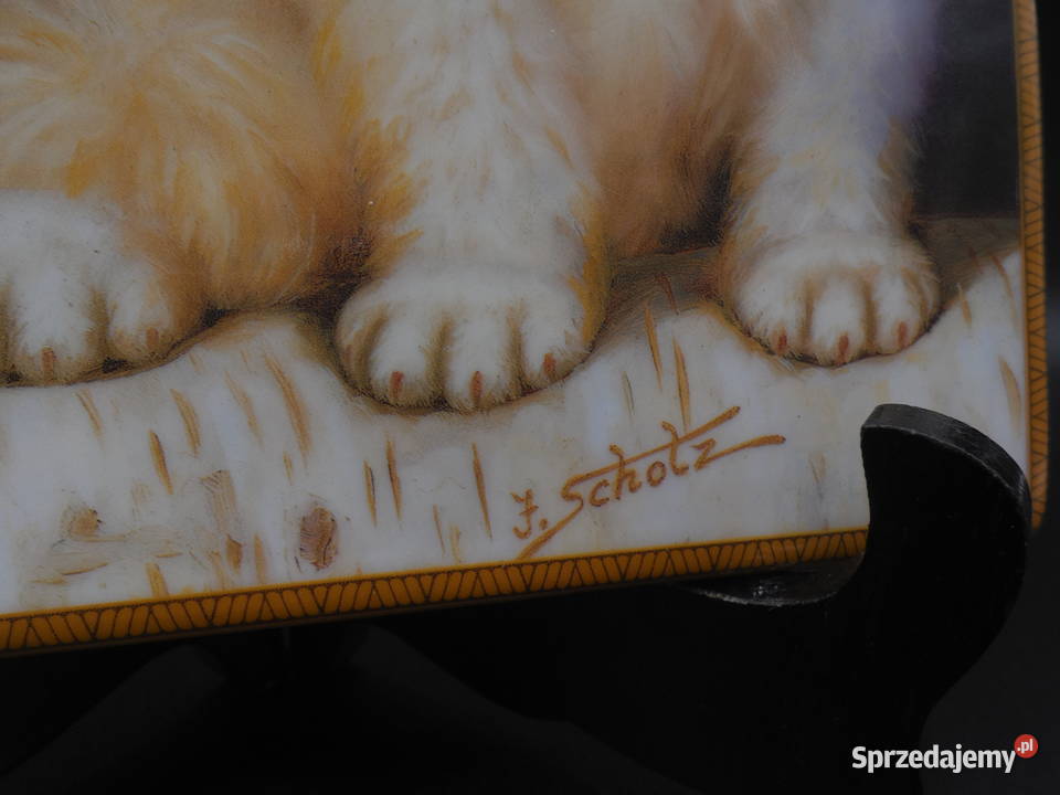 Obraz na porcelanie kot pies Bradford autor J