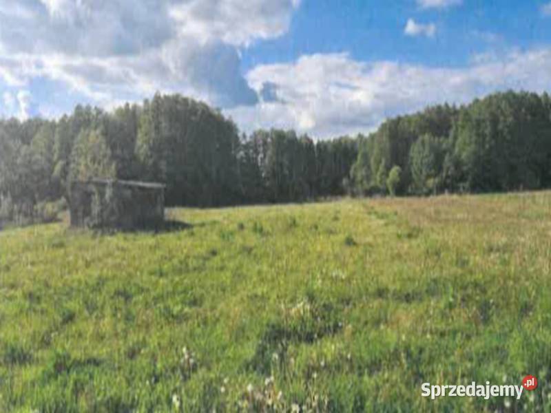 Sprzedaż nieruchomości Brzozówka 276 ha rolna