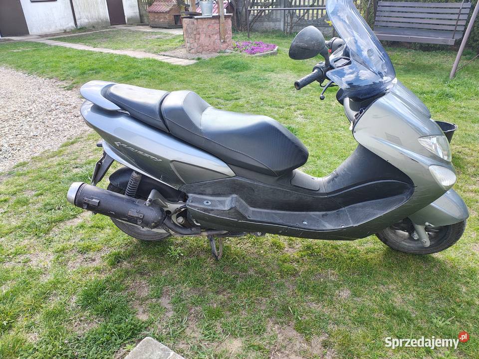 Yamaha Majesty 125 świętokrzyskie