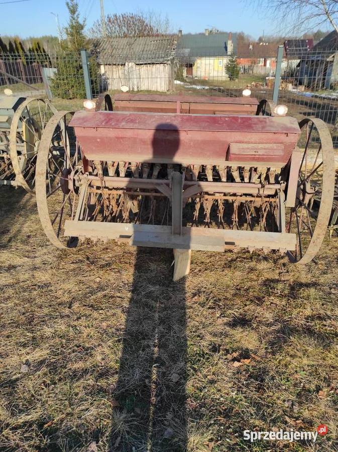 Sprzedam siewniki Wielkie Oczy sprzedam