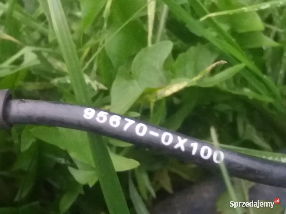 Czujnik ABS prawy przód hundyai i10 sprzedam