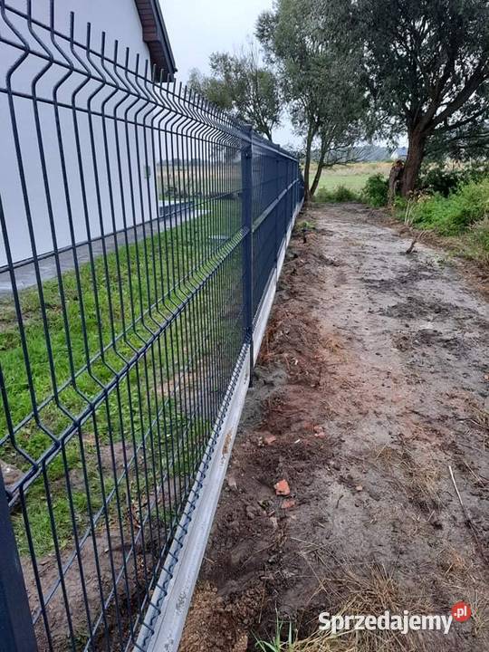 Panele Ogrodzeniowe Ocynk Ogniowy Ral 3D2D Bramy ocynk Rogozino