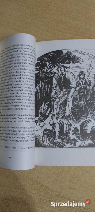 Tajemnicza wyspa Lublin sprzedam