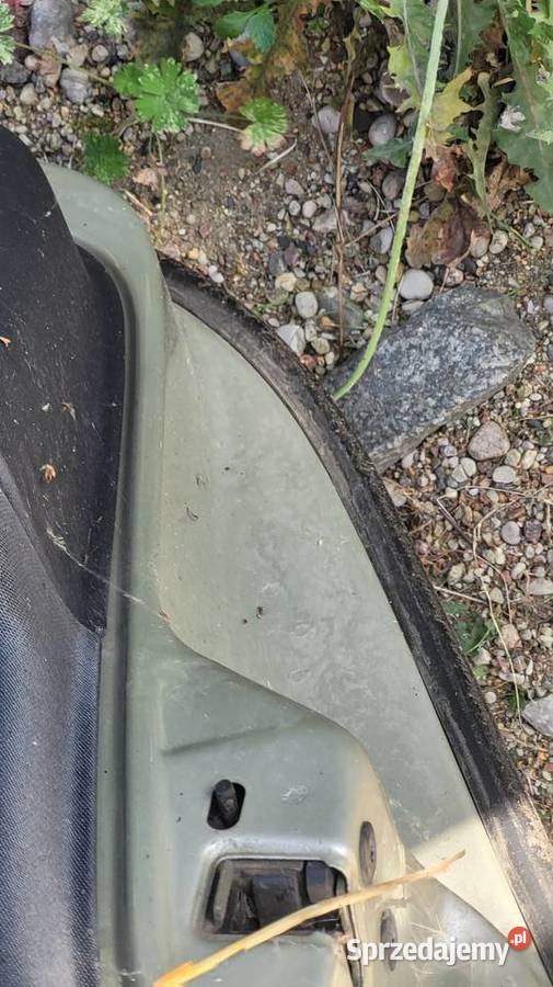 Drzwi Renault Laguna II Łagów