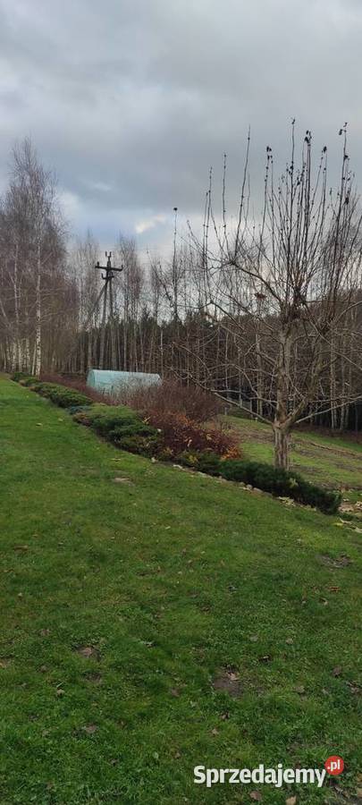 Zadbane siedlisko z 2 oddzielnymi budynkmi kujawsko-pomorskie Służewo-Pole