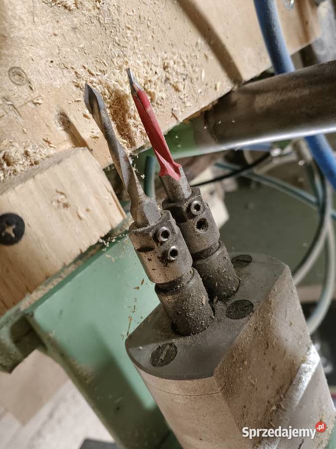 wiertarka wielowrzecionowa pomorskie Gdańsk