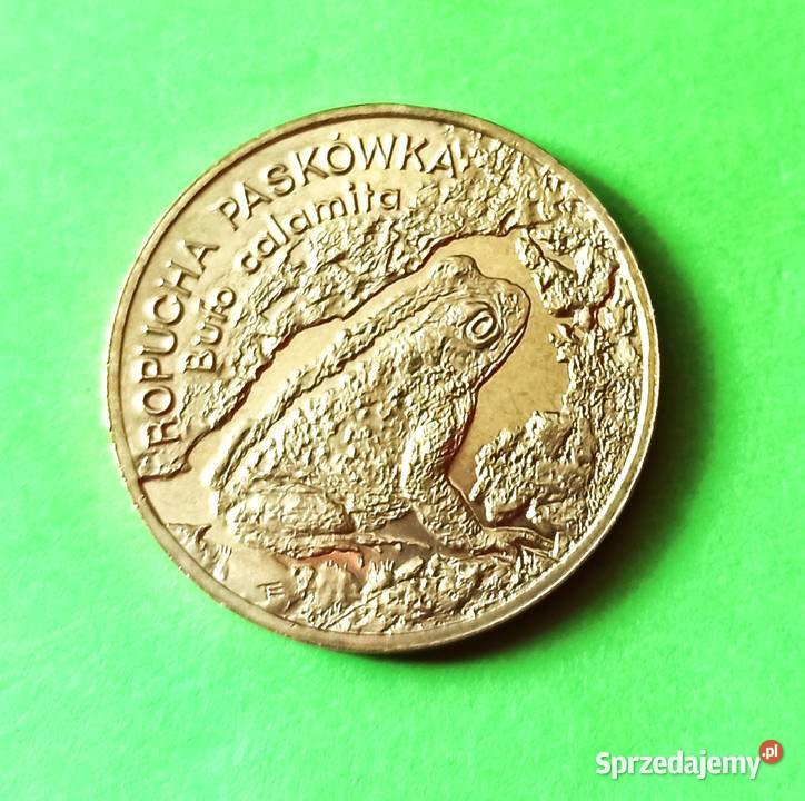 2 1998 r Ropucha Paskówka dolnośląskie