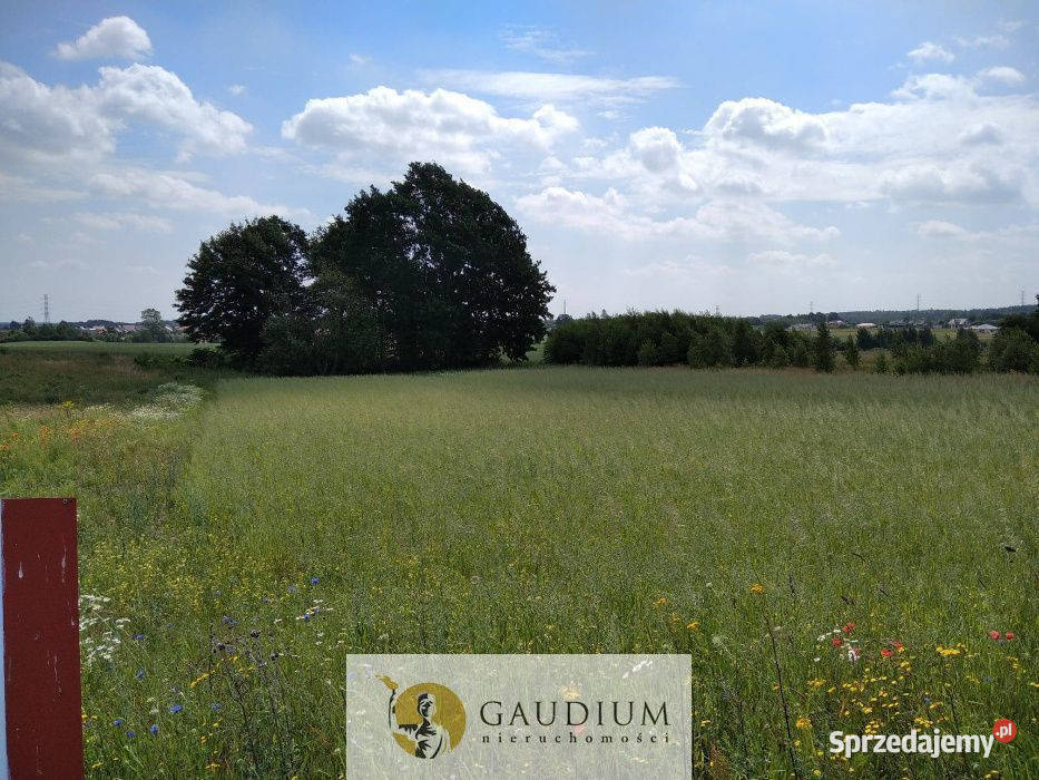 Działka budowlana w Przyjaźni media w drodze Przyjaźń
