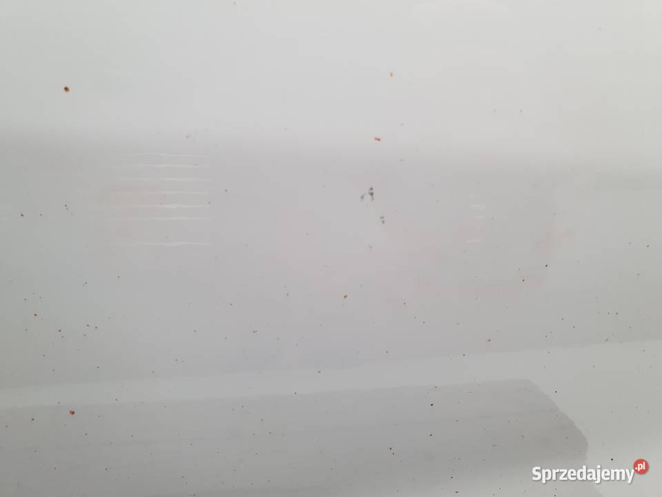 DRZWI PRAWY PRZÓD Dacia Duster 20102017 europa osobowe lubelskie Chełm