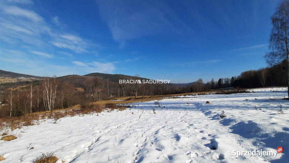 Sprzedaż gruntu 30000m2 Stryszawa 26zł/m2 sprzedam