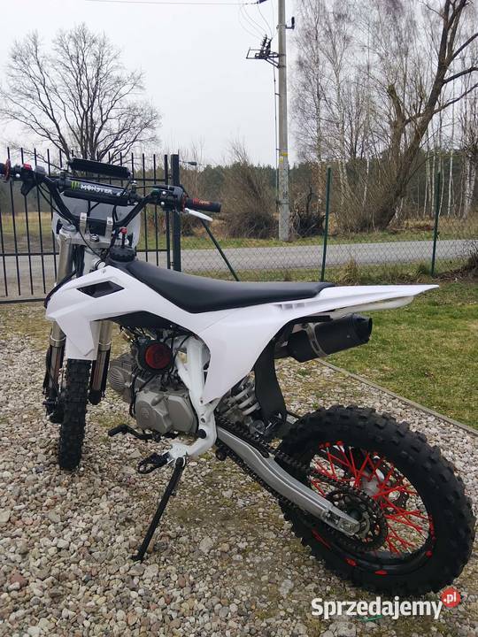 Pit gang 140xd 45mth Rok produkcji 2022 Niekłończyca