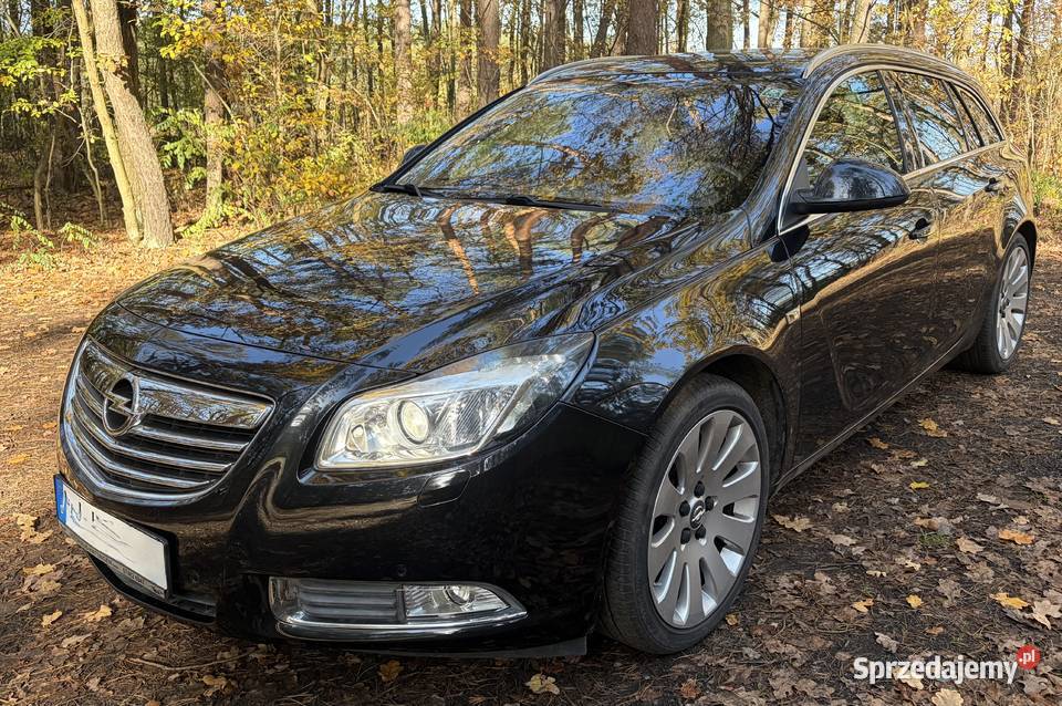 OPEL Insignia moc 220 AUTOMAT Bogata Wersja 2012