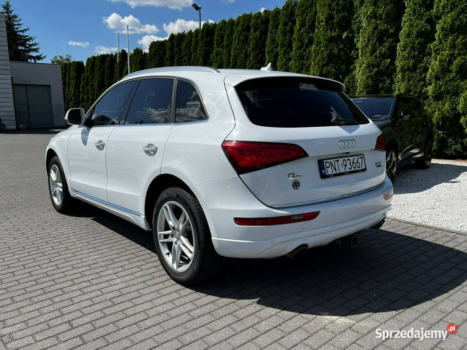 Audi Q5 20T Quattro Panorama BangOlufsen Kamera 123700km Q5 Baranowo