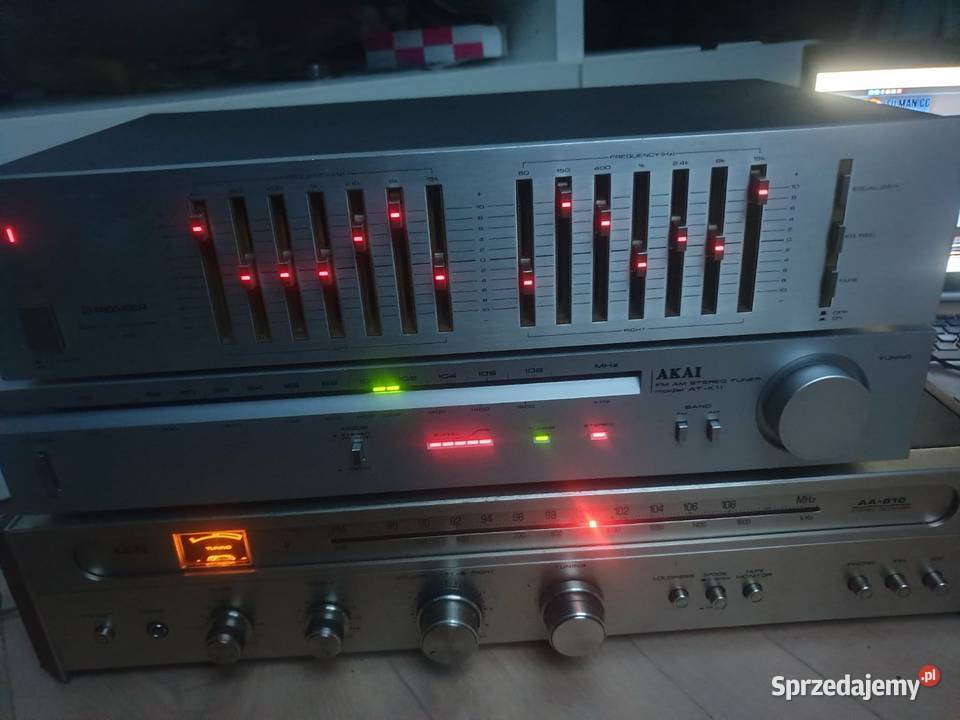 Pioneer sg 300 korektor graficzny Leżajsk