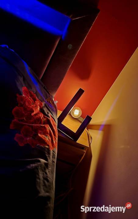 Rękodzieło unikalne lampki nocne żarówka Edisona Włocławek