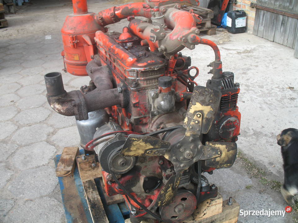Silnik MTZ T 240 łódzkie Bedlno