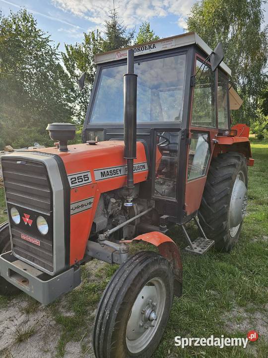 Massey Ferguson 255 Ujście sprzedam