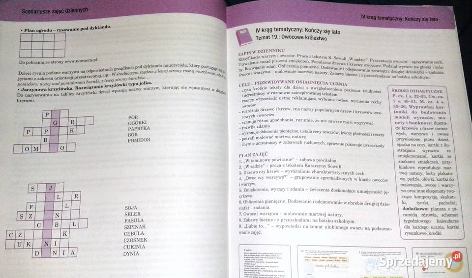 Elementarz XXI wieku Scenariusze zajęć dziennych Rok wydania 2013 Chełm