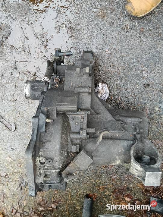 FELICJA 19 DSKRZYNIA BIEGOW Jastrzębia Góra