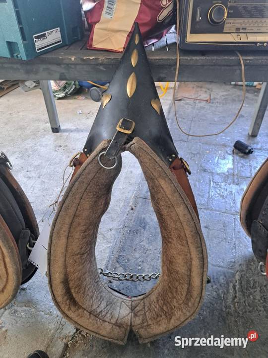 Homonta homonto Rolnictwo Kluczbork