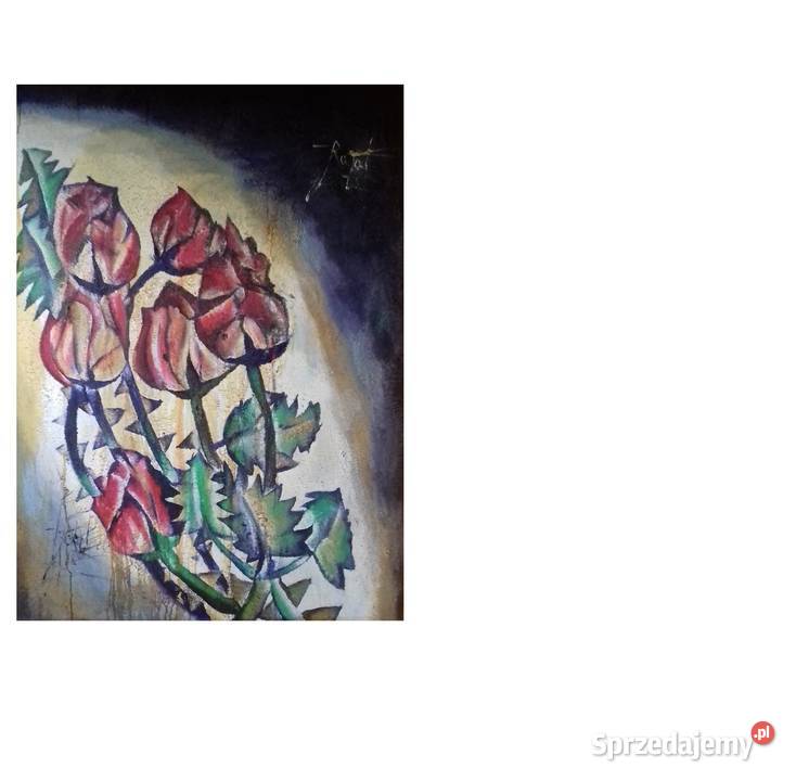 Sześć Gwiezdnych Róż Gwiazdeczkowych Malarstwo Jarosław sprzedam