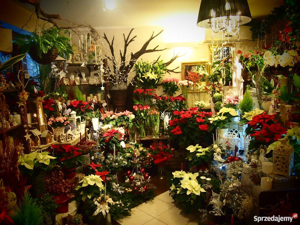 Sprzedam asortyment kwiaciarni Olsztyn