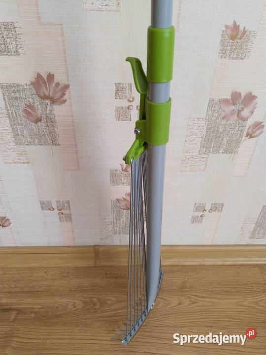 NAJTANIEJ Grabie Wachlarzowe Teleskopowe śląskie Zabrze