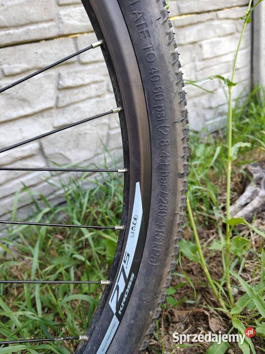Rower crossowy UNIVEGA Terreno 30 Rama XL 22 Drążdżewo