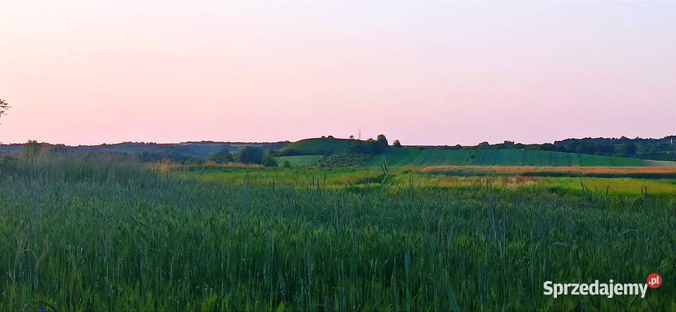 Działka rolnobudowlana WZ 7700m2